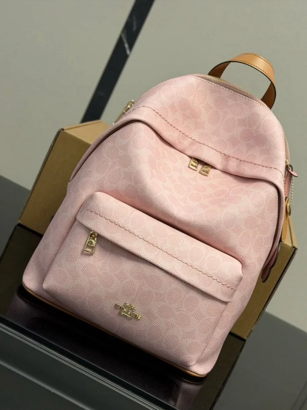 Coach Backpack Pink Signature Coated Canvas Gold Hardware Women’s